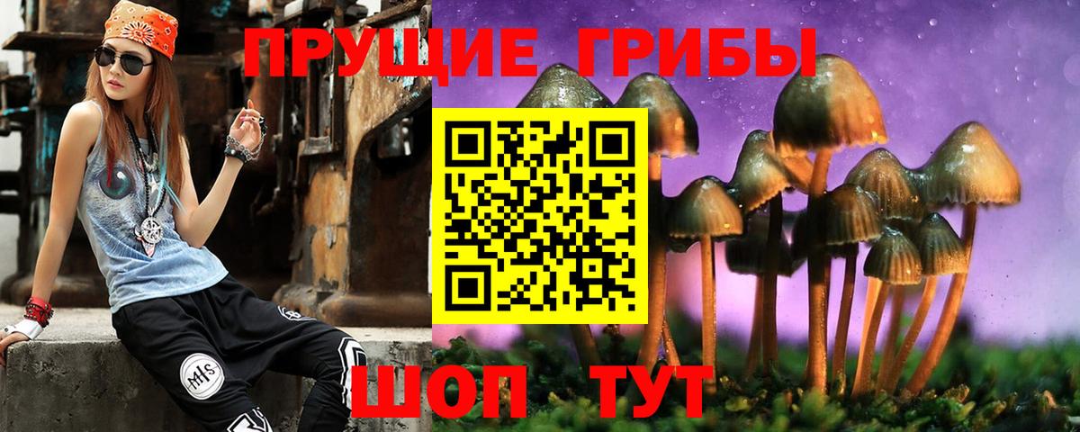 Еманжелинск  купить наркоту  Вход с VPN  Псилоцибиновые грибы Magic Shrooms 